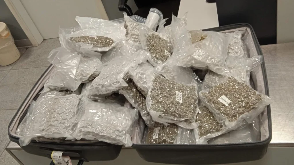 przemytu konopi z Tajlandii do Europy