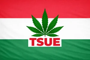 klasyfikacji marihuany węgry