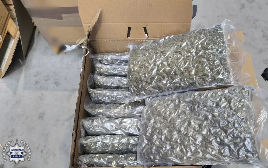 kilkadziesiąt kg marihuany