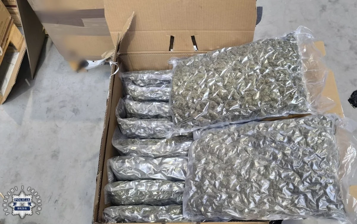 kilkadziesiąt kg marihuany