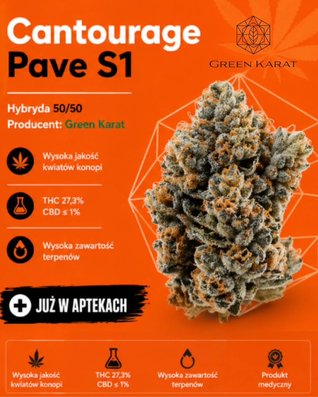 Pavé S1 od Cantourage – nowa odmiana medycznej marihuany już w aptekach. Podstawowe informacje i wzór recepty