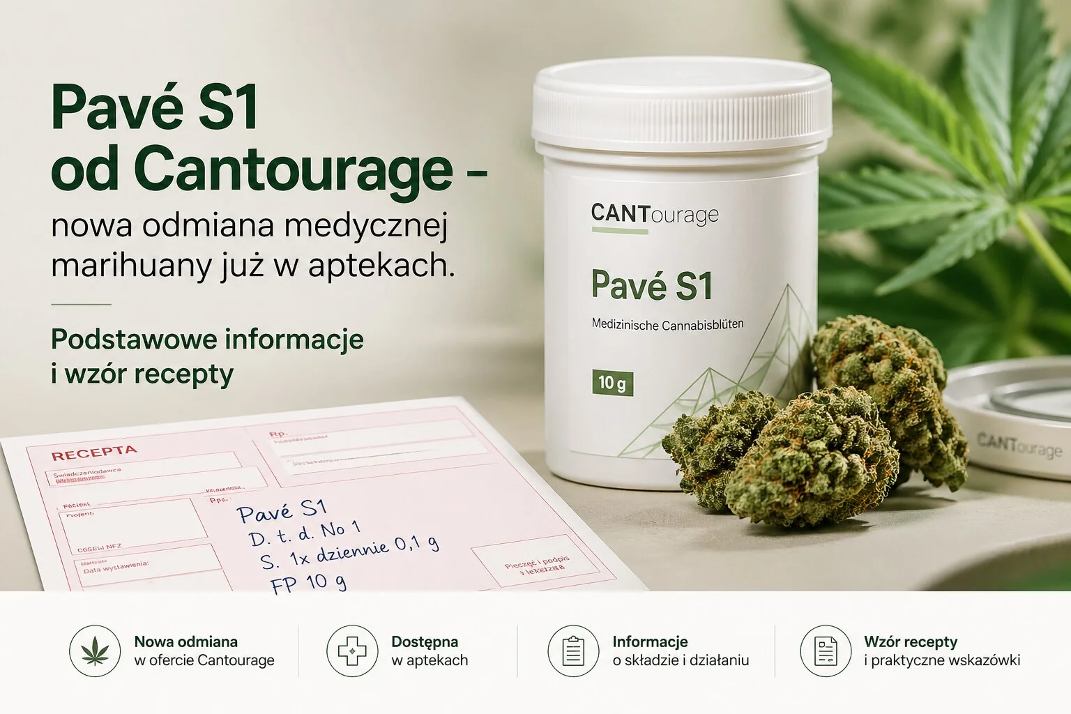Pavé S1 od Cantourage - nowa odmiana medycznej marihuany już w aptekach. Podstawowe informacje i wzór recepty