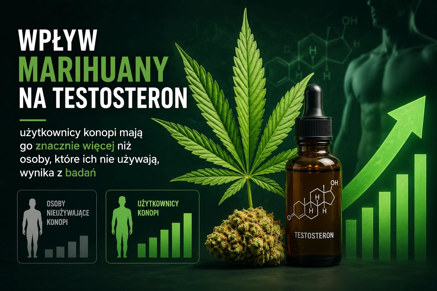 Wpływ marihuany na testosteron