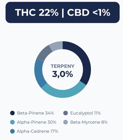 Polska spółka Bliss Pharma